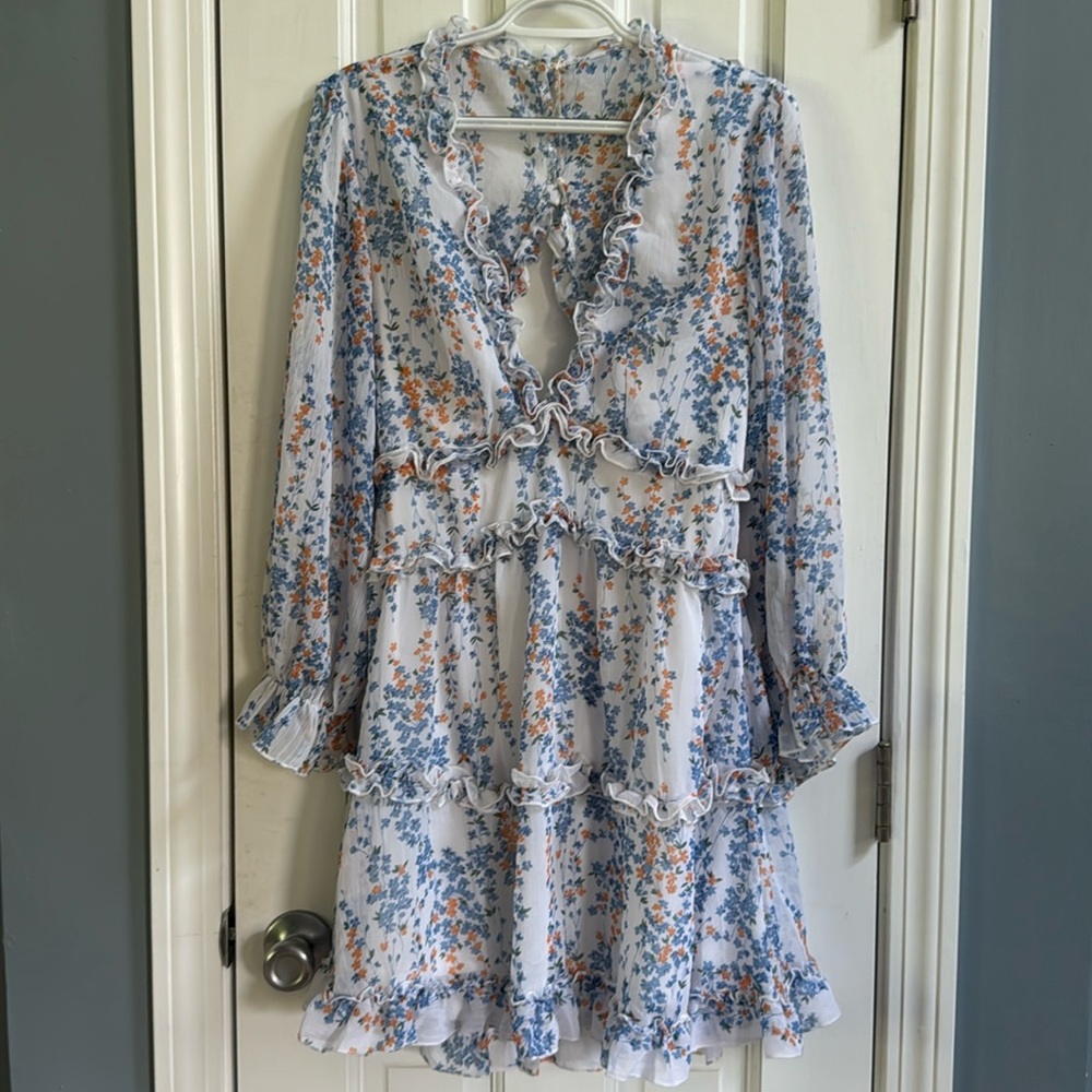 Blue Floral Open Back Ruffle Sheer Dress